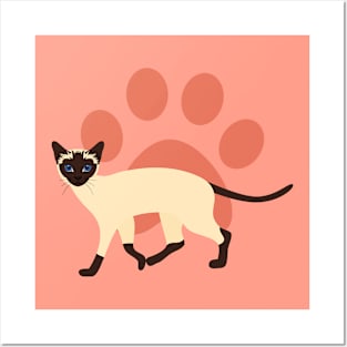 Siamese Cat and Paw Print Posters and Art